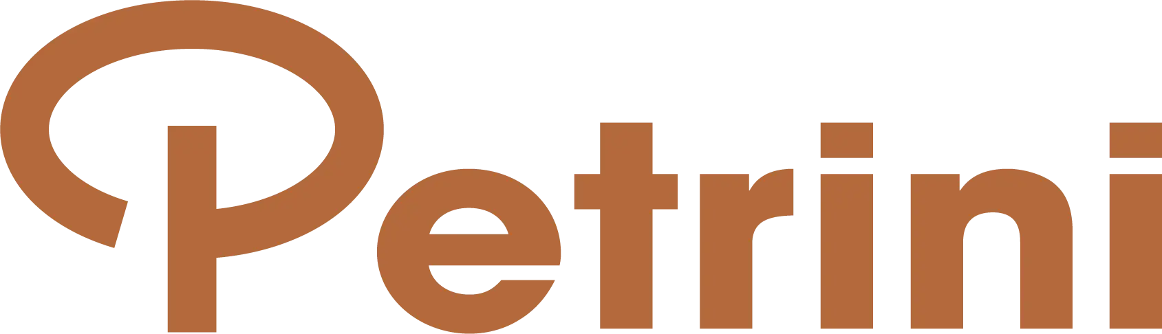Logo Petrini Ebike